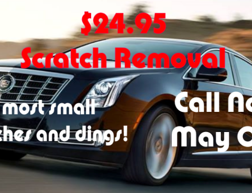 Scratch Removal only $24.95!